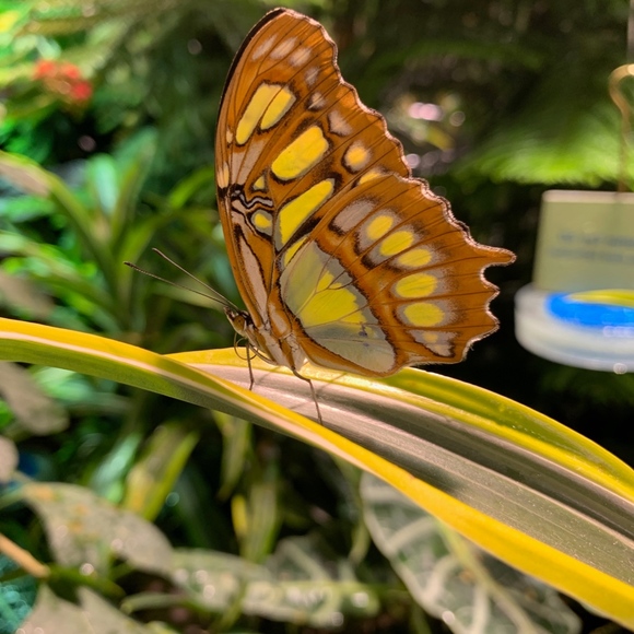 Meet your Posher, Catherine - Picture 5 of 7